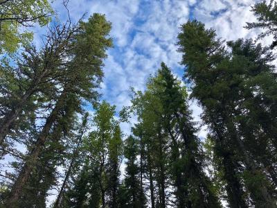 Media-167ca21aff205f